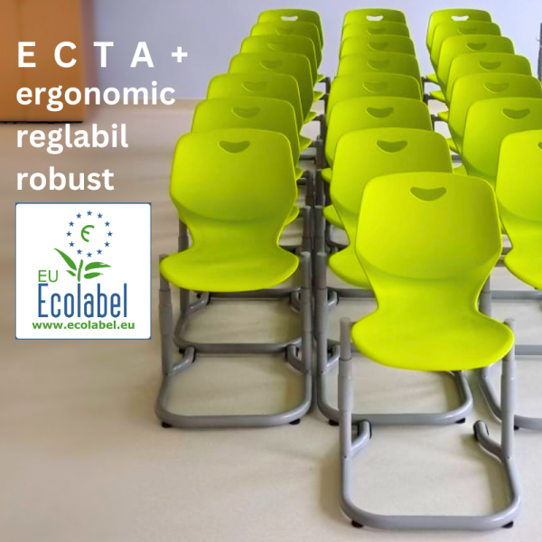 Scaun ergonomic cu inaltime reglabila a sezutului MATTE ECTA GLISS
